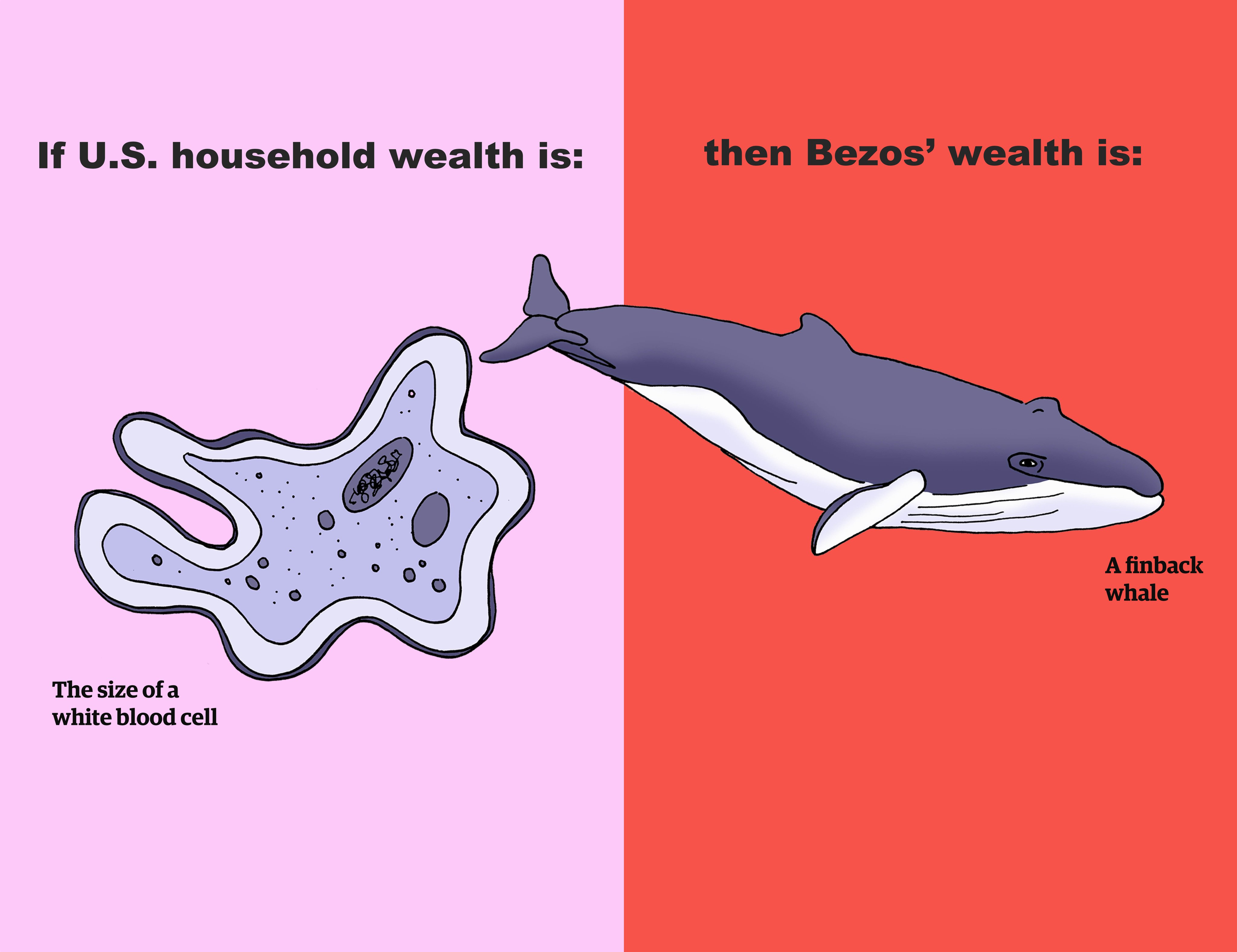 HH wealth as blood cell, Bezos as a whale