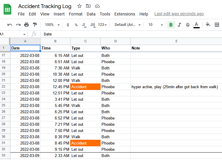 accident and walk tracking log by day, time, and type