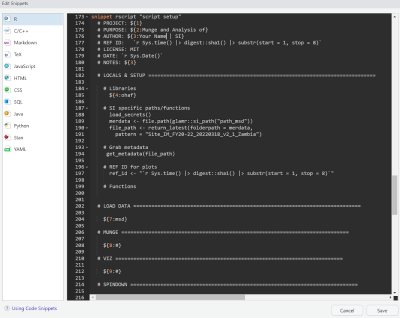 RStudio Snippet window showing user created setup